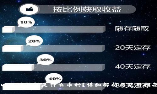 以太坊钱包是什么币种?详细解析与使用指南