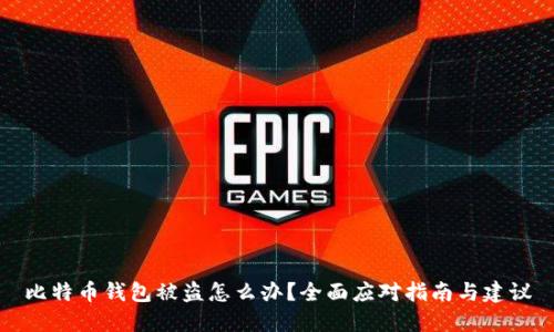 比特币钱包被盗怎么办？全面应对指南与建议