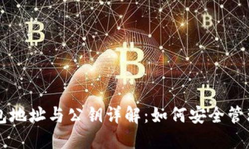 虚拟币钱包地址与公钥详解:如何安全管理数字资产