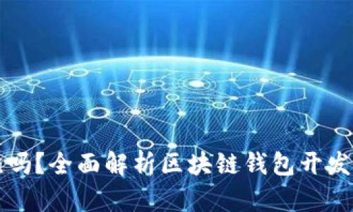 区块链钱包开发难吗?全面解析区块链钱包开发的挑战与解决方案
