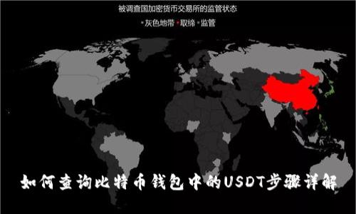 如何查询比特币钱包中的USDT步骤详解