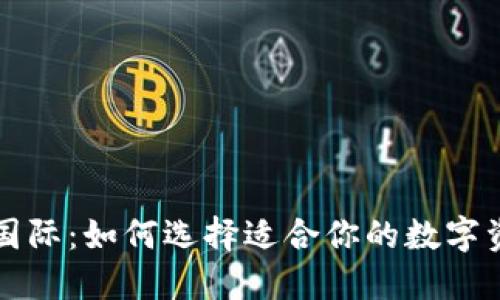 以太坊钱包国际:如何选择适合你的数字资产保护工具