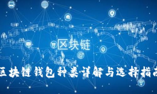 区块链钱包种类详解与选择指南
