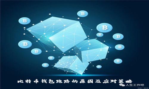 比特币钱包跑路的原因及应对策略