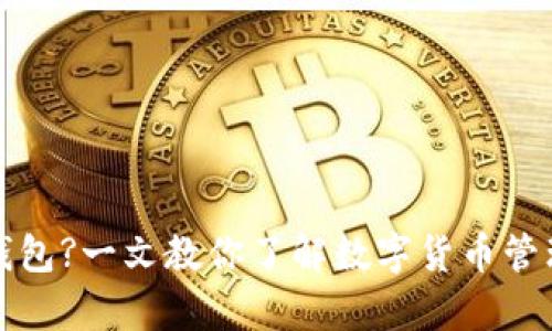 货币没有USDT钱包?一文教你了解数字货币管理与USDT的选择