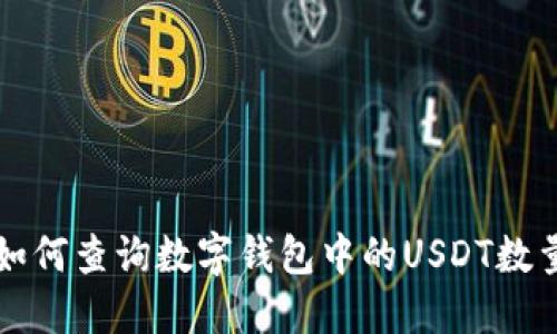 如何查询数字钱包中的USDT数量