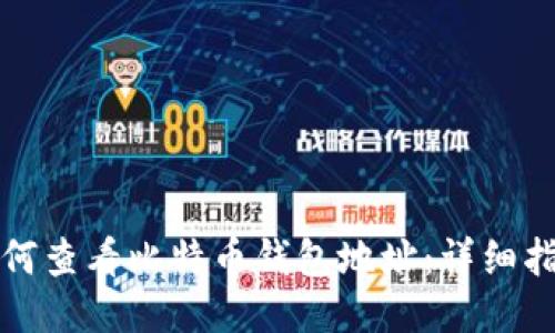 如何查看比特币钱包地址:详细指南
