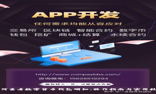 如何查看数字货币钱包明细：操作指南与实用技巧