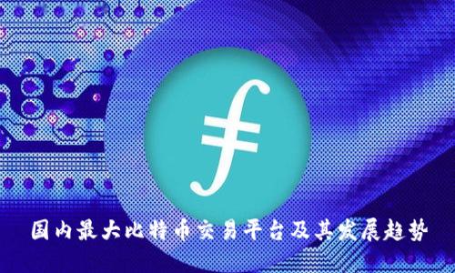 国内最大比特币交易平台及其发展趋势