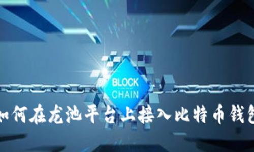 如何在龙池平台上接入比特币钱包