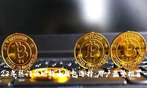 2023年热门的比特币钱包选择：用户最爱推荐一览
