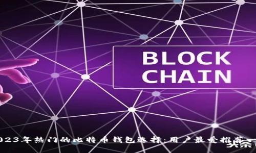 2023年热门的比特币钱包选择：用户最爱推荐一览