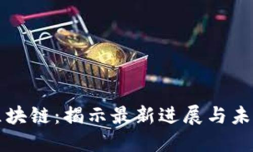 海豚区块链:揭示最新进展与未来潜力