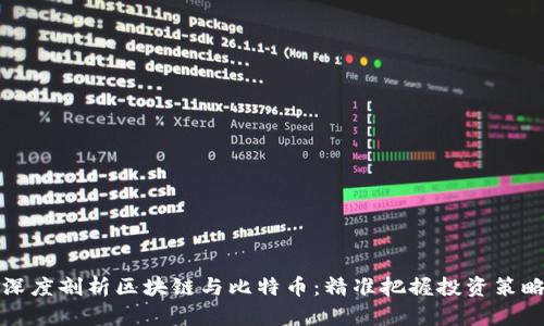 深度剖析区块链与比特币：精准把握投资策略