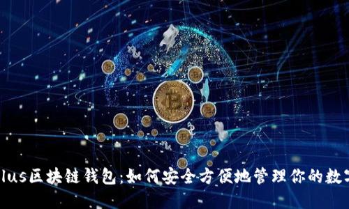 探索Plus区块链钱包:如何安全方便地管理你的数字资产