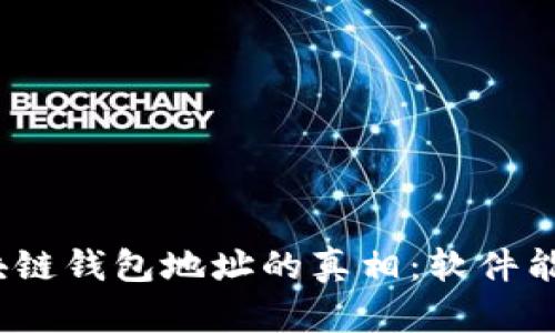 破解区块链钱包地址的真相：软件能做到吗？