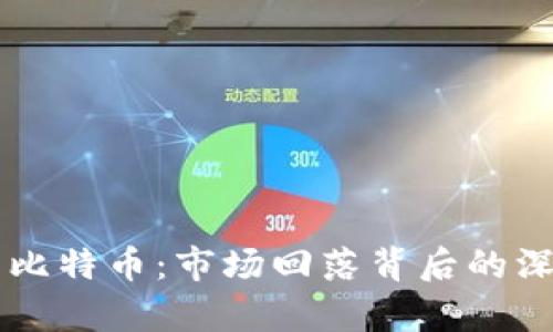 区块链与比特币:市场回落背后的深层次解析