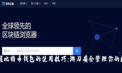 快速掌握比特币钱包的使用技巧:游刃有余管理你的数字资产