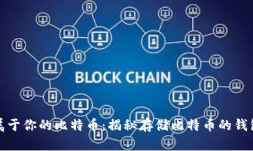 找到属于你的比特币:揭秘存储比特币的钱包选择