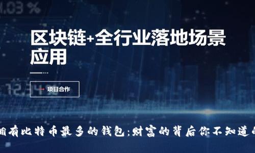 揭秘拥有比特币最多的钱包:财富的背后你不知道的故事