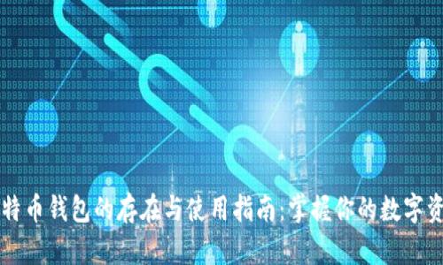 比特币钱包的存在与使用指南:掌握你的数字资产