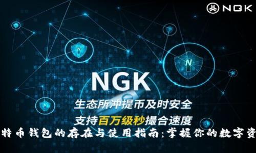比特币钱包的存在与使用指南:掌握你的数字资产