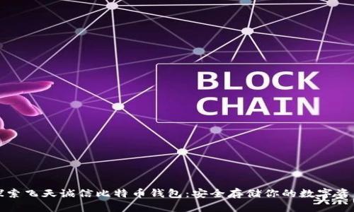 探索飞天诚信比特币钱包:安全存储你的数字资产