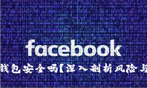 加密数字钱包安全吗？深入剖析风险与注意事项