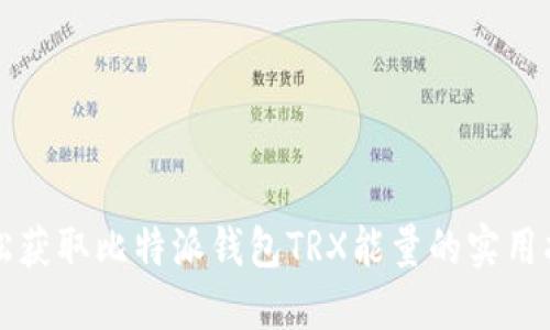 轻松获取比特派钱包TRX能量的实用指南