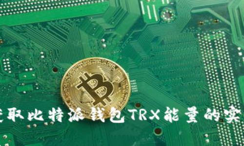 轻松获取比特派钱包TRX能量的实用指南