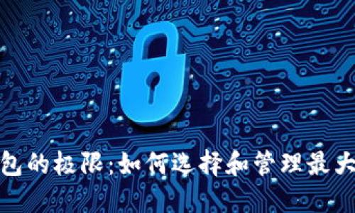 探索以太坊钱包的极限:如何选择和管理最大的以太坊钱包