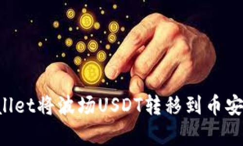 如何用tpWallet将波场USDT转移到币安链:步骤详解