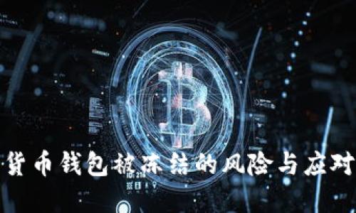 加密货币钱包被冻结的风险与应对策略