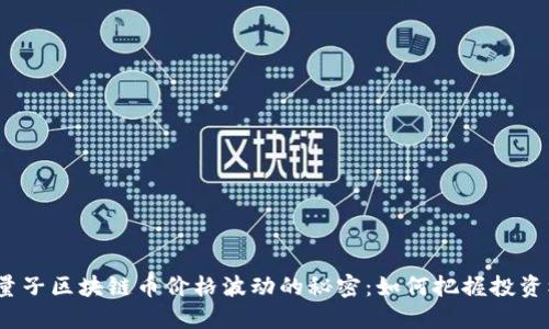 探寻量子区块链币价格波动的秘密:如何把握投资机会?