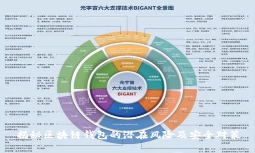 揭秘区块链钱包的潜在风险及安全对策