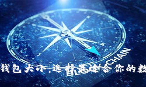 深入了解以太坊钱包大小：选择最适合你的数字资产管理方案