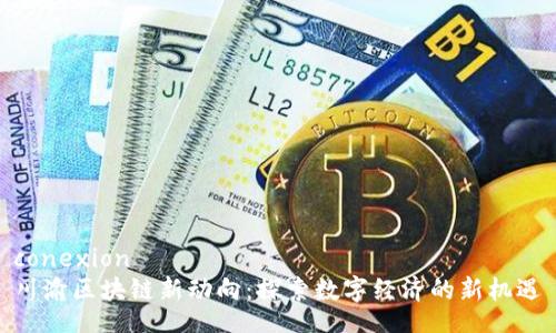 conexion  
川渝区块链新动向：探索数字经济的新机遇