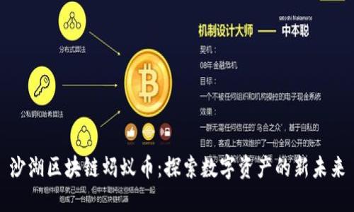 沙湖区块链蚂蚁币:探索数字资产的新未来