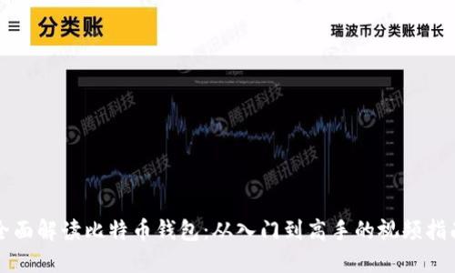 全面解读比特币钱包:从入门到高手的视频指南