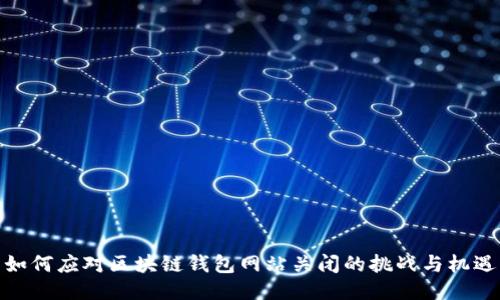 如何应对区块链钱包网站关闭的挑战与机遇