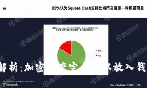 全面解析：加密资产完全可以放入钱包吗？
