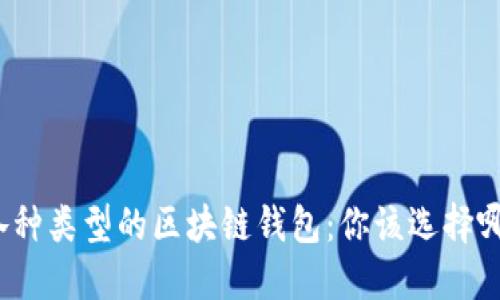 探索各种类型的区块链钱包：你该选择哪一种？