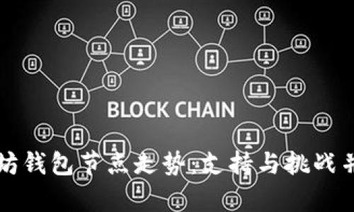 揭示以太坊钱包节点走势：支持与挑战并存的未来