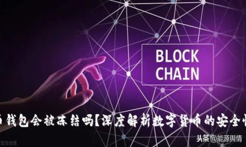 数字货币钱包会被冻结吗？深度解析数字货币的安全性与风险