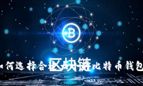 如何选择合适大小的比特币钱包？