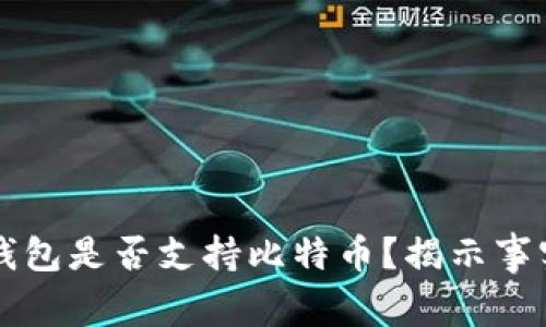以太坊钱包是否支持比特币？揭示事实与真相