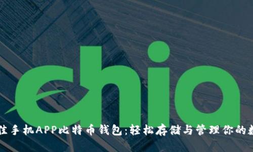 发现最佳手机APP比特币钱包：轻松存储与管理你的数字资产