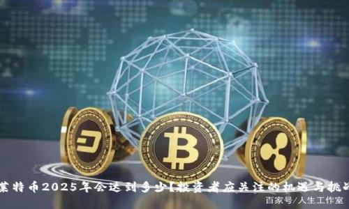 莱特币2025年会达到多少？投资者应关注的机遇与挑战