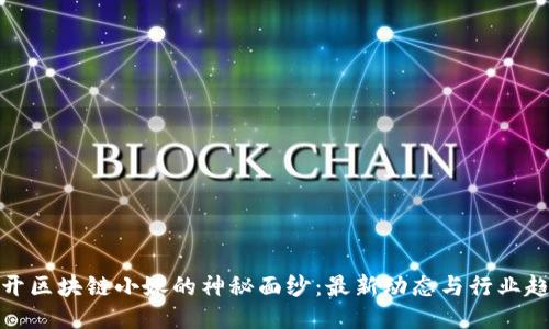 揭开区块链小妹的神秘面纱：最新动态与行业趋势