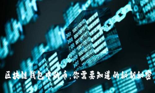 区块链钱包中的币：你需要知道的秘钥秘密